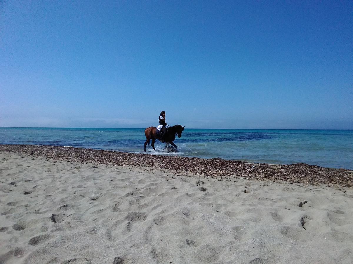 Villa Blanche Dimora Di Charme Marsala Dış mekan fotoğraf